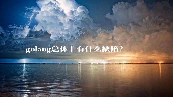 golang总体上有什么缺陷？