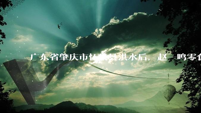 广东省肇庆市怀集县洪水后，赵一鸣零食店被哄抢，物资和收银机里面的几千块钱被哄抢一空，如何评价？