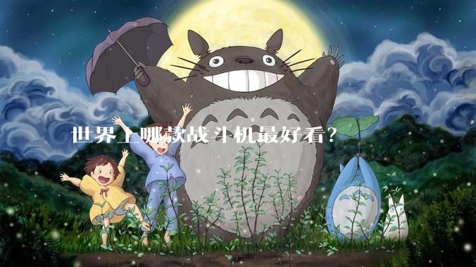 世界上哪款战斗机最好看？
