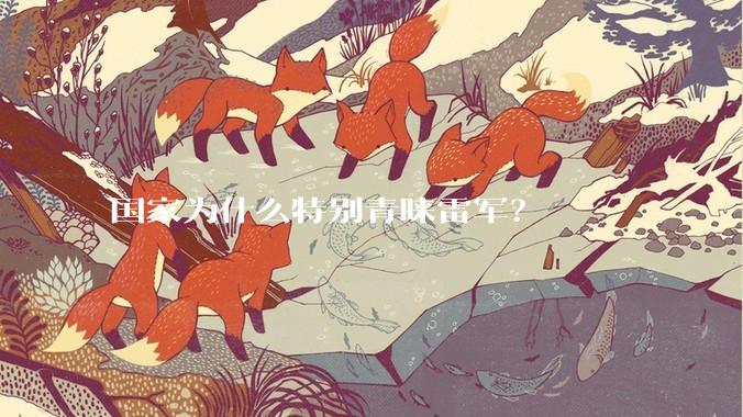 国家为什么特别青睐雷军？