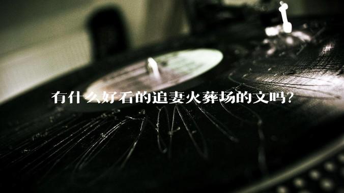 有什么好看的追妻火葬场的文吗？