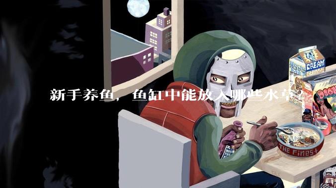 新手养鱼，鱼缸中能放入哪些水草？